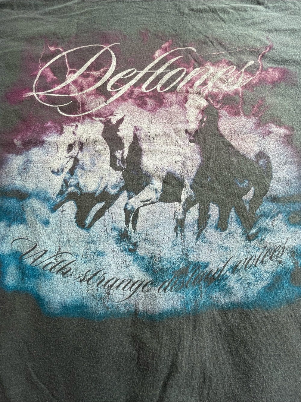 Deftones Swerve City Horses T-Shirt